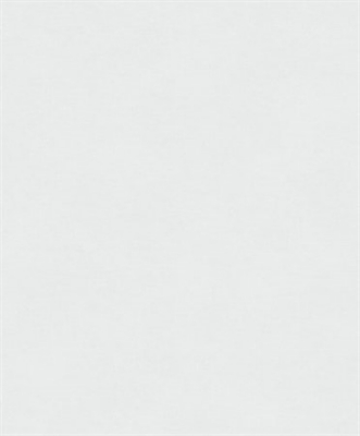 Bild på Rythm ash - RYT011