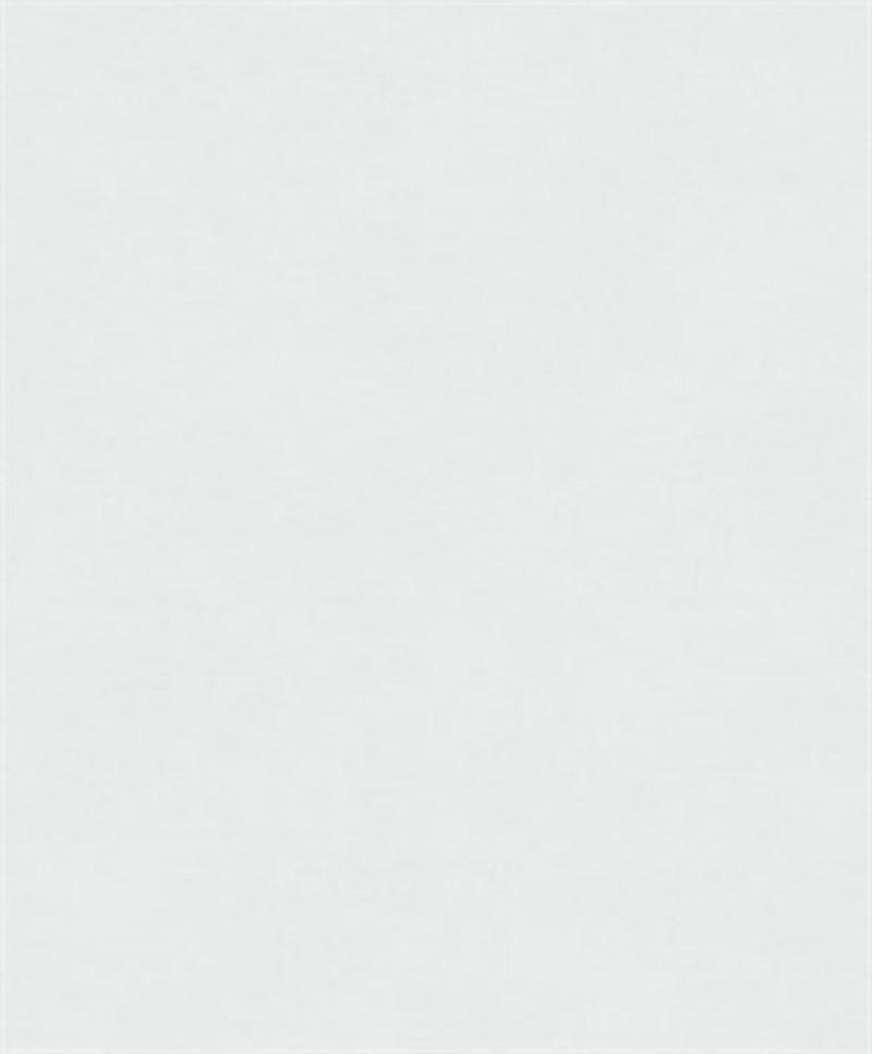 Picture of Rythm ash - RYT011