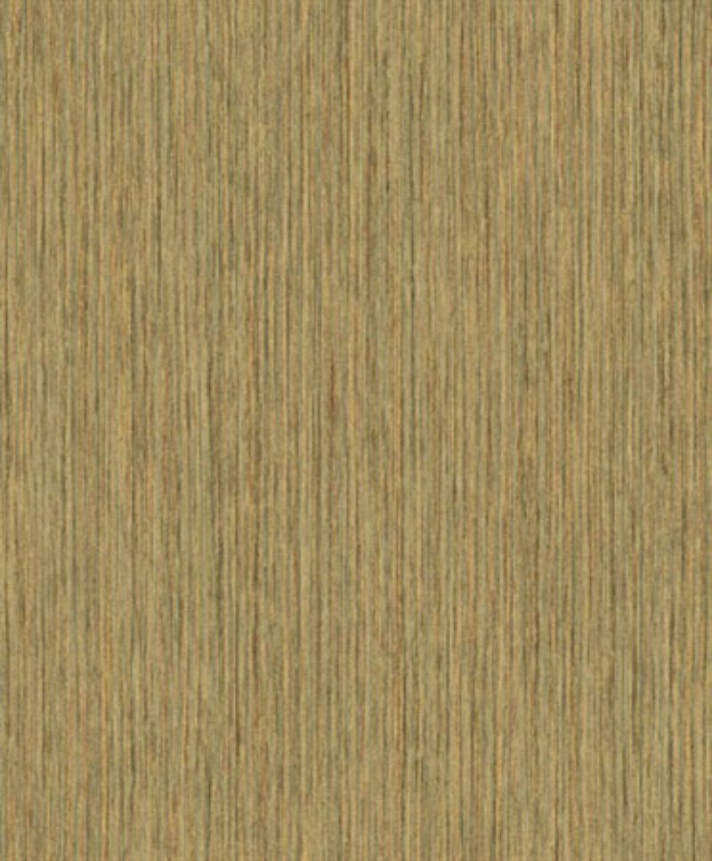 Picture of Barque jungle - CAB005