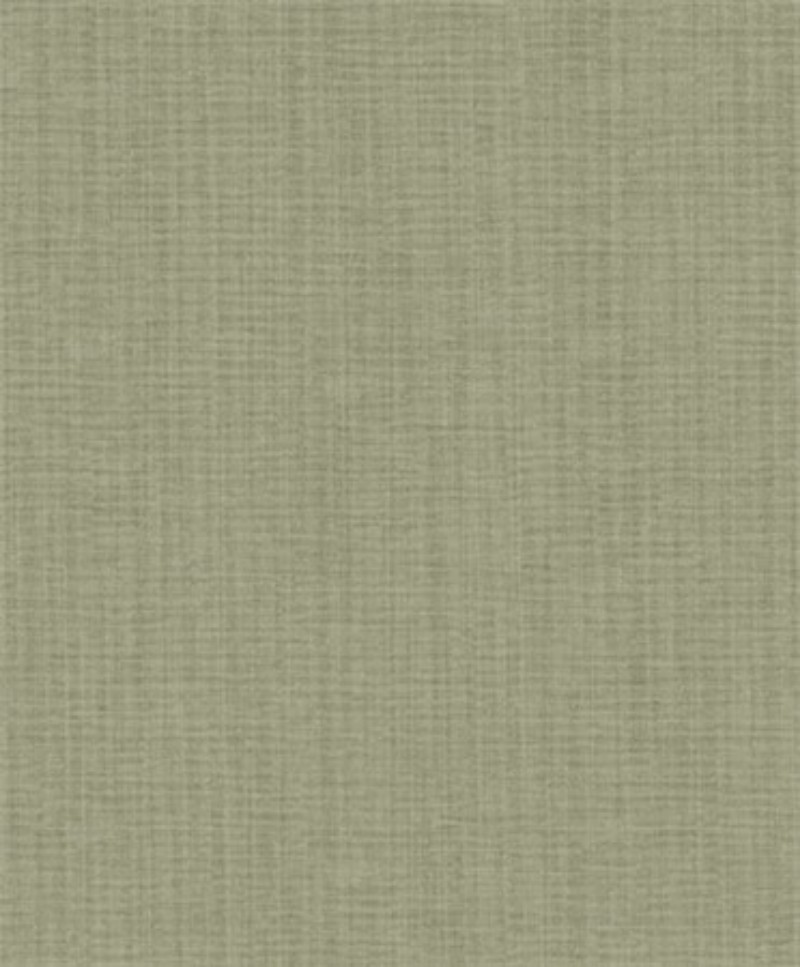 Bild på Orbit farn - ORB105