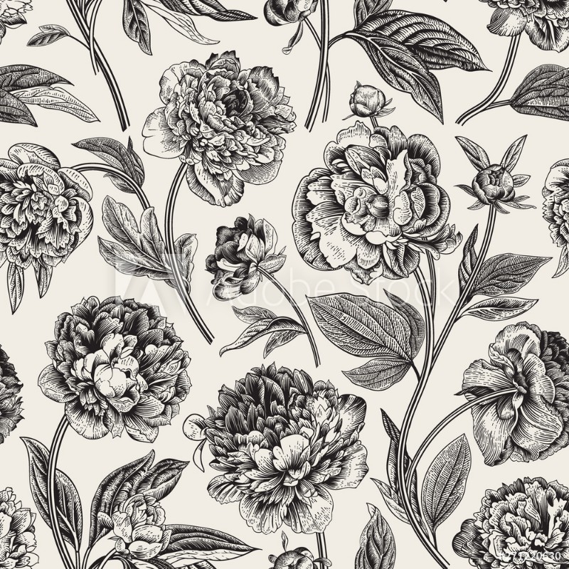 Picture of 271220630