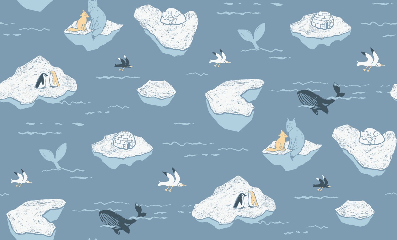 Picture of No Limits - 640307