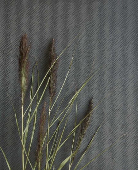 Image de Waterfront - 300845