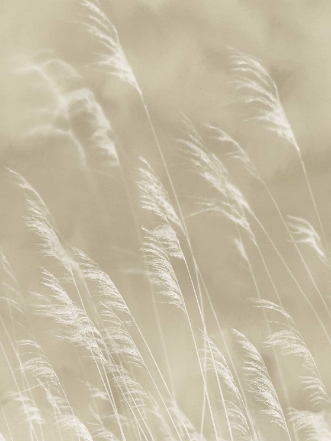 Picture of Waterfront - 300900