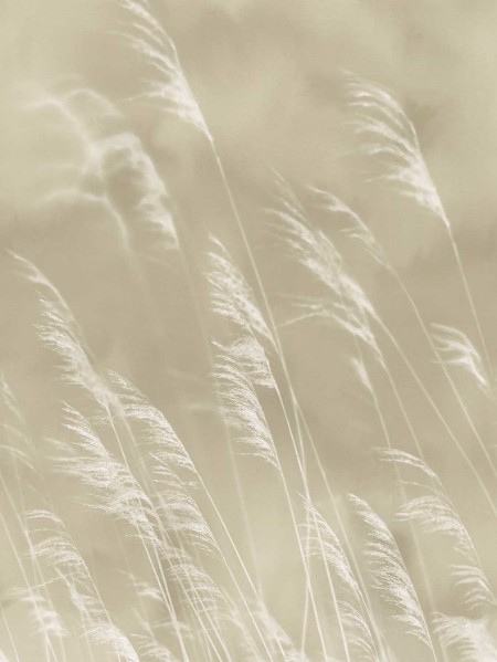 Image de Waterfront - 300900