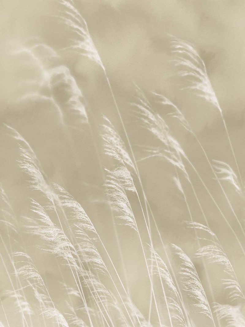 Image de Waterfront - 300900