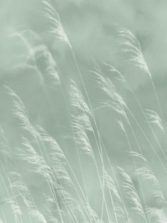 Picture of Waterfront - 300901