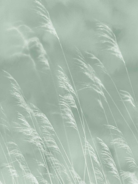 Image de Waterfront - 300901