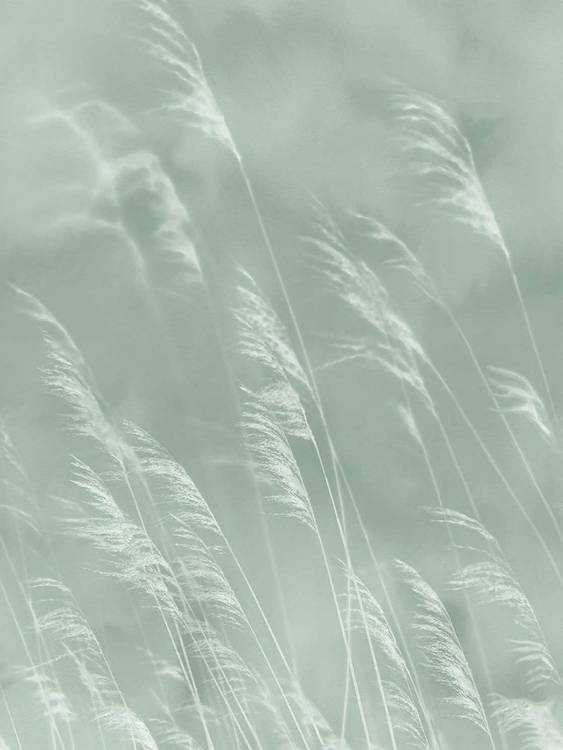 Image de Waterfront - 300901