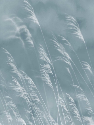 Image de Waterfront - 300902