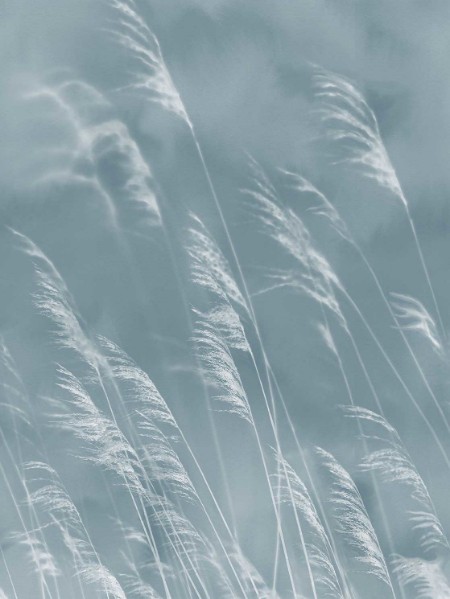 Image de Waterfront - 300902