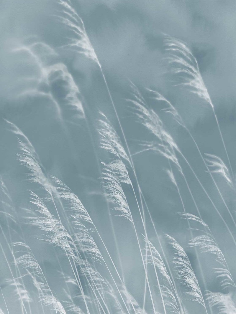 Picture of Waterfront - 300902