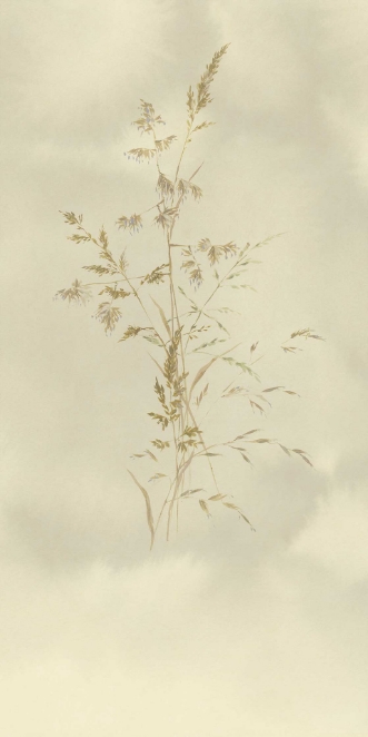 Picture of Waterfront - 300903