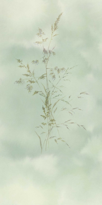 Image de Waterfront - 300904