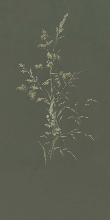 Image de Waterfront - 300905