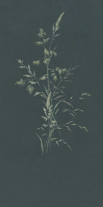 Picture of Waterfront - 300906