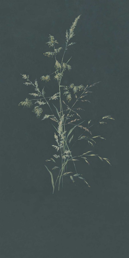 Image de Waterfront - 300906