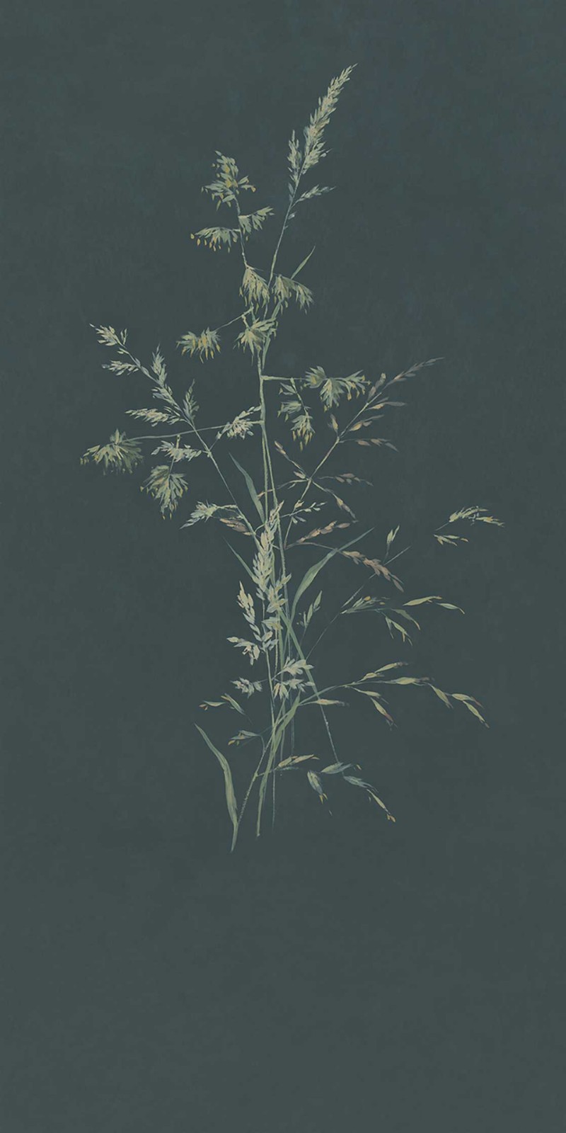 Picture of Waterfront - 300906