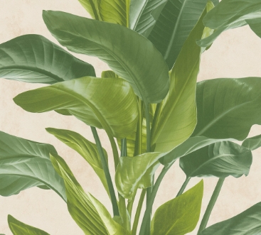 Picture of Metropolitan Stories II - 37862-3