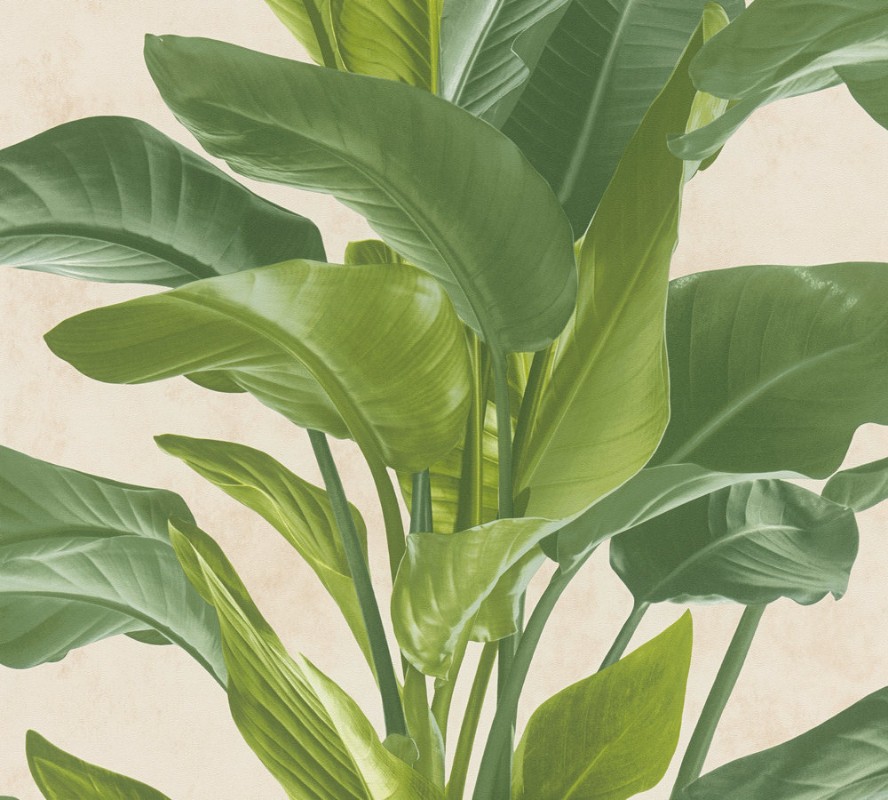 Afbeeldingen van Metropolitan Stories II - 37862-3