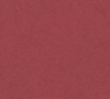 Image de Metropolitan Stories II - 37865-3