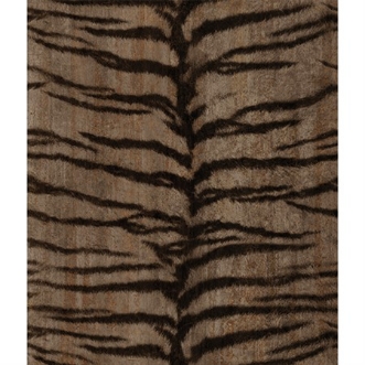 Picture of Grand Safari - 300416DX