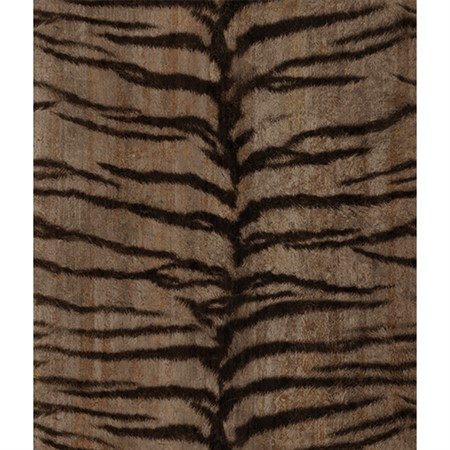 Picture of Grand Safari - 300416DX