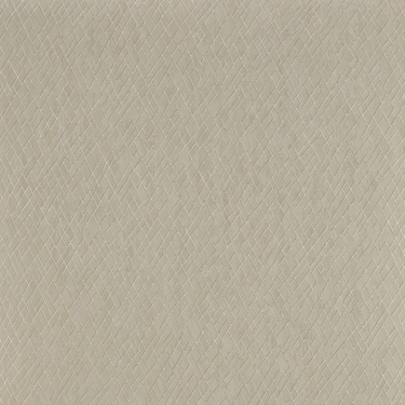 Image de Rex - J8011-01