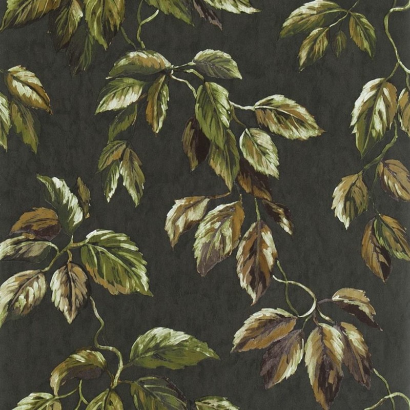 Bild på Jangal Walnut - PDG1127/05