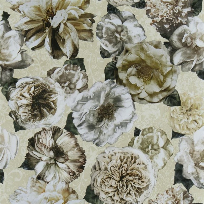 Picture of Pahari Vanilla - PDG1128/03