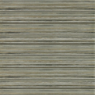 Picture of Gradiate - 112755