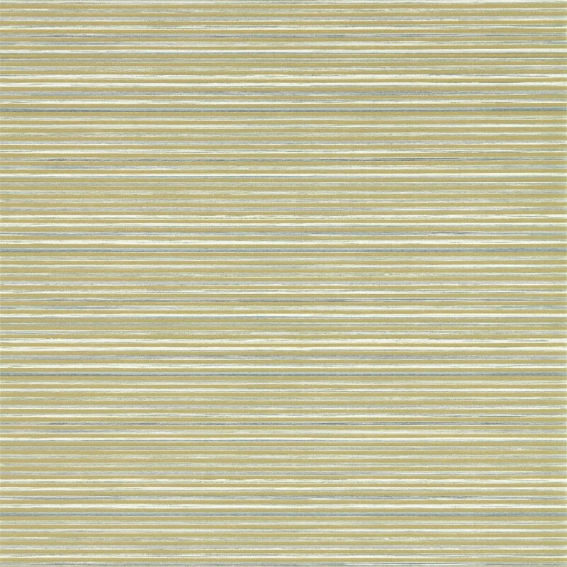 Picture of Gradiate - 112756