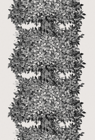 Picture of Viola Gråsten Hassel - 1950