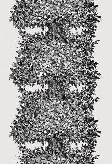 Picture of Viola Gråsten Hassel - 1950