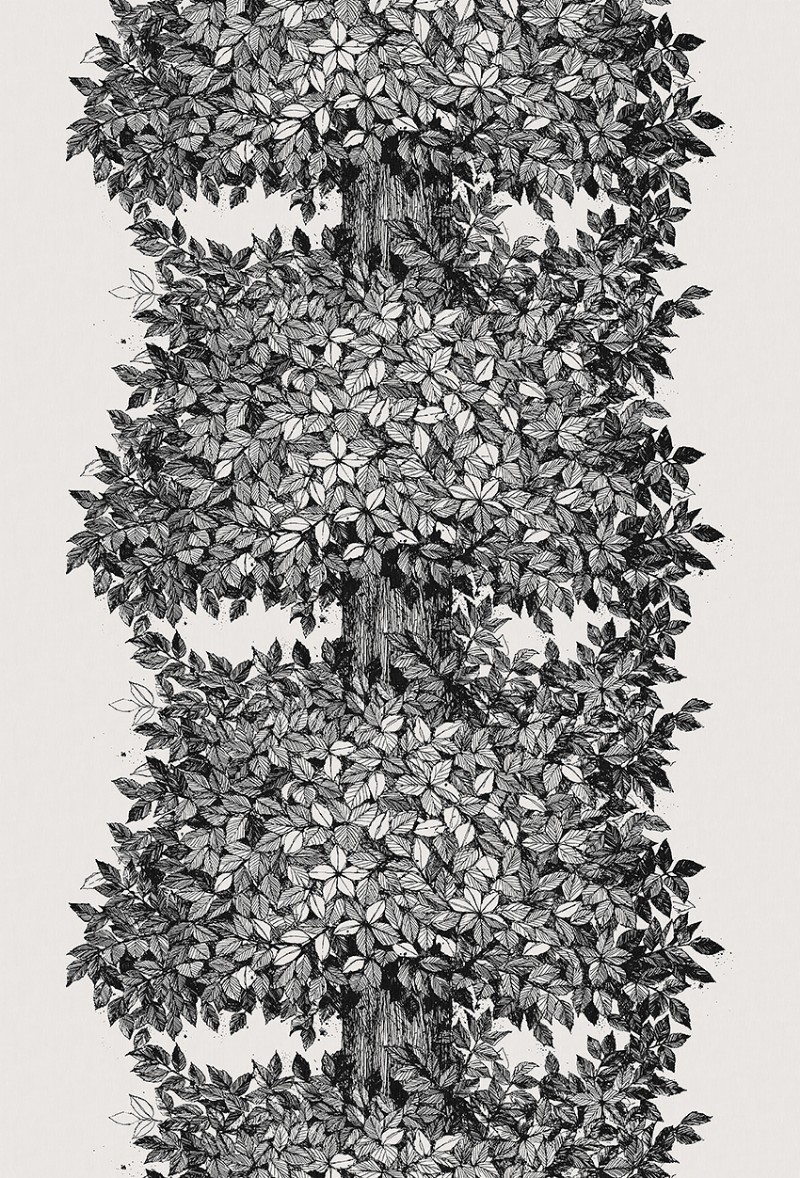 Picture of Viola Gråsten Hassel - 1950