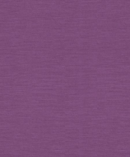 Picture of Jaipur - 227764