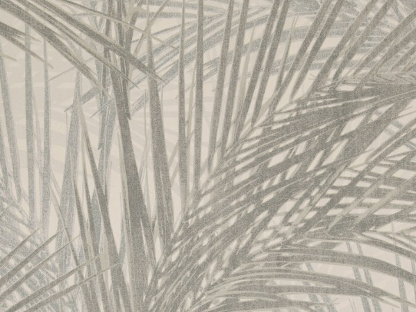 Picture of Zen - 218744