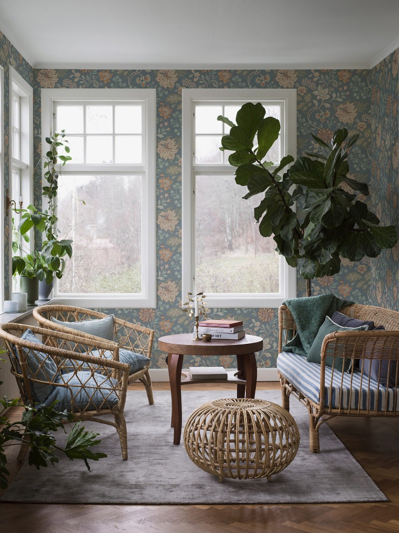 Image de Alicia - 2005