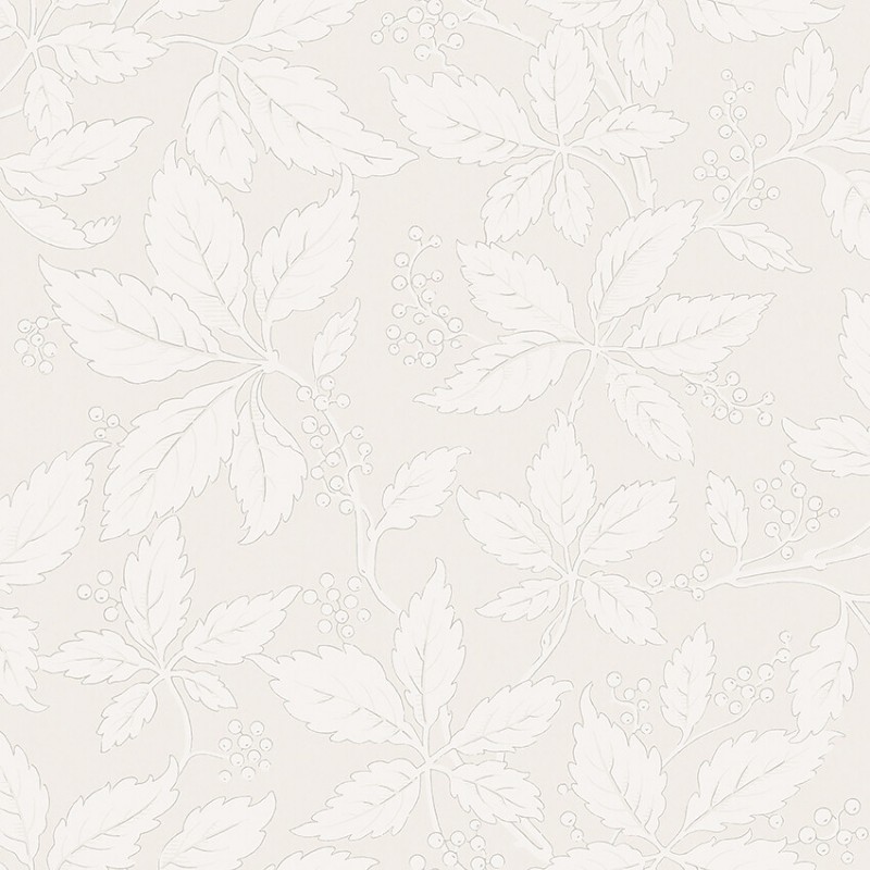 Afbeeldingen van Vildvin - 2027