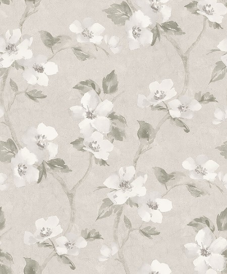 Picture of Helen´s Flower - 3582