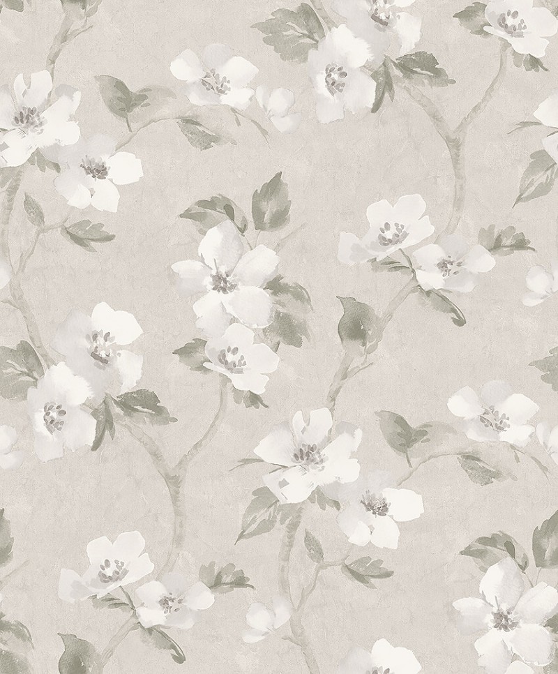 Afbeeldingen van Helen´s Flower - 3582