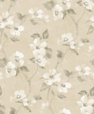 Bild på Helen´s Flower - 3584