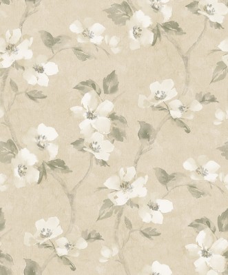 Image de Helen´s Flower - 3584