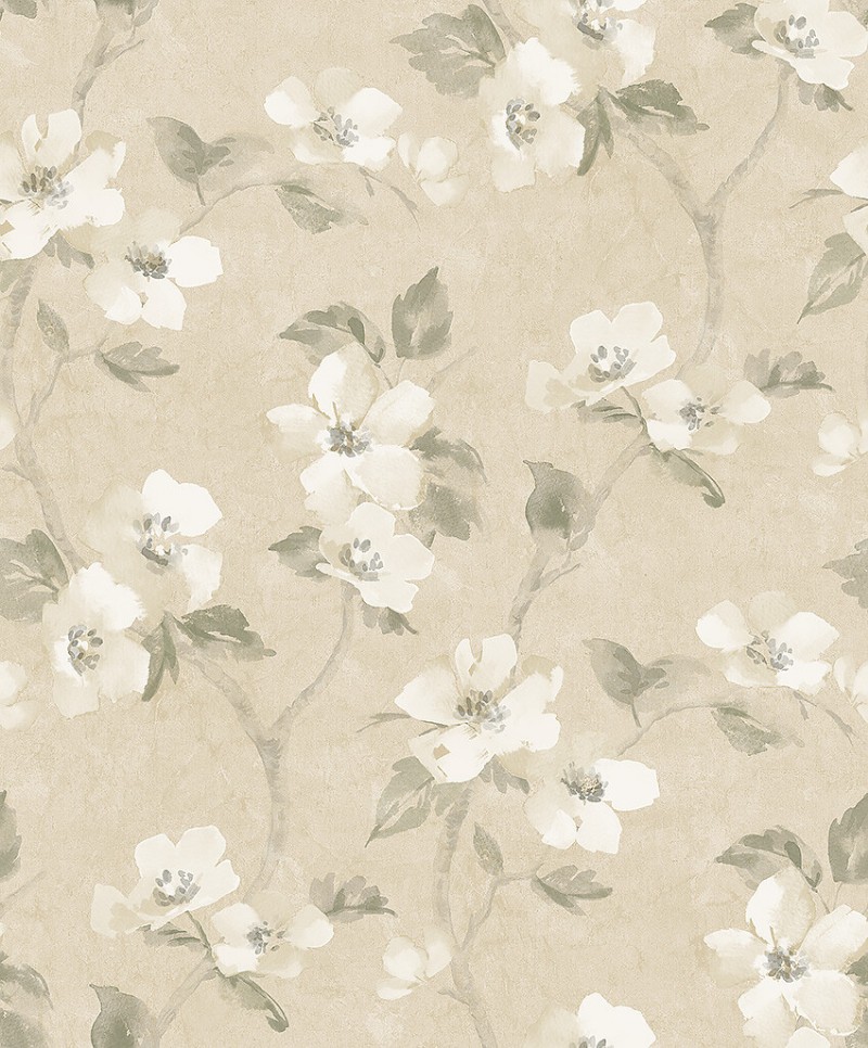 Picture of Helen´s Flower - 3584