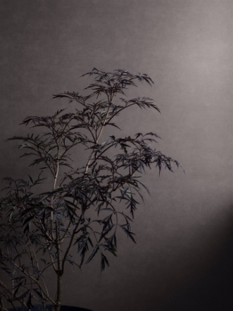 Bild på Shades Hematite - 5066