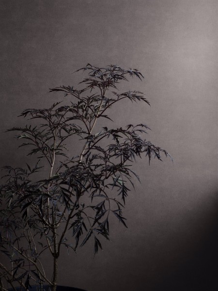 Picture of Shades Hematite - 5066