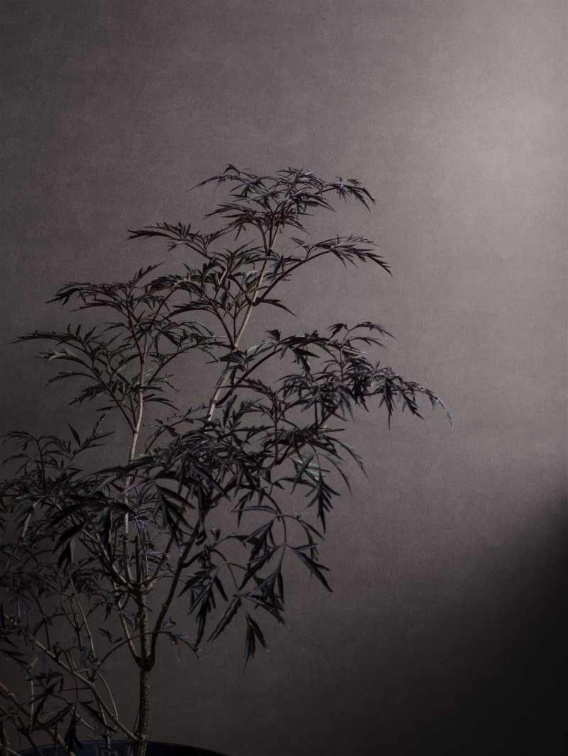 Picture of Shades Hematite - 5066