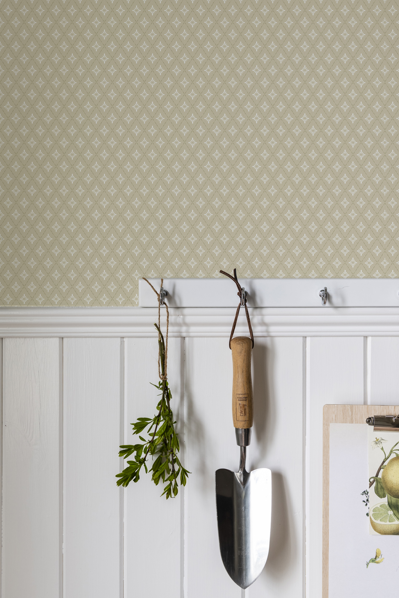 Picture of Lillstjärna - 680-05