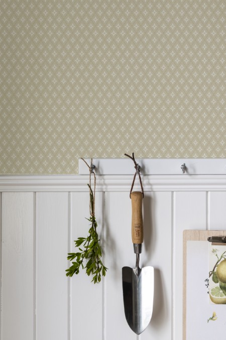 Picture of Lillstjärna - 680-05