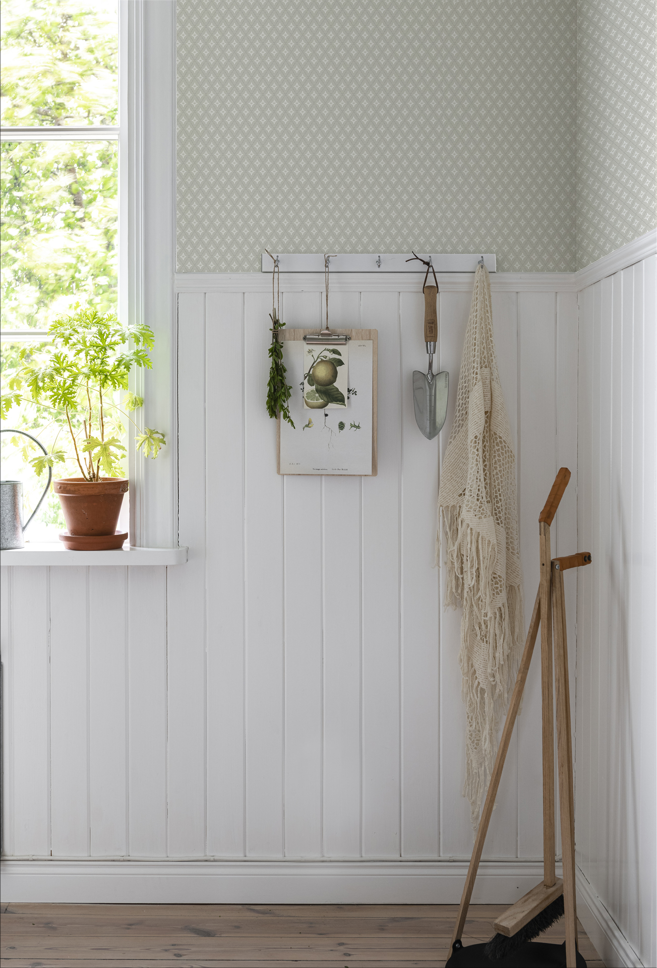 Picture of Lillstjärna - 680-02